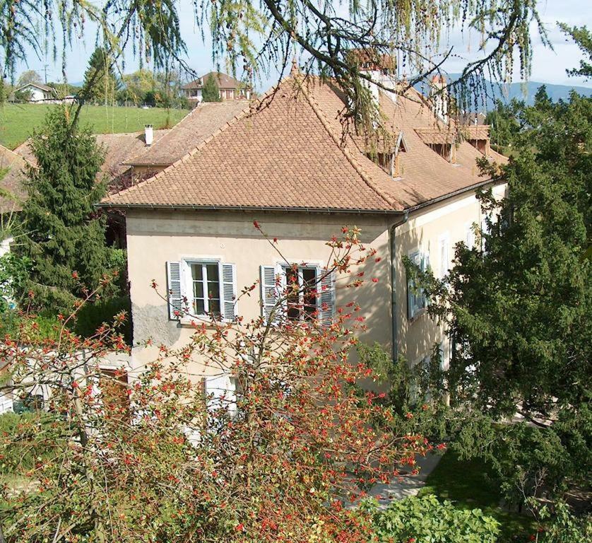 Chateau-Gaillard Corbelin Buitenkant foto